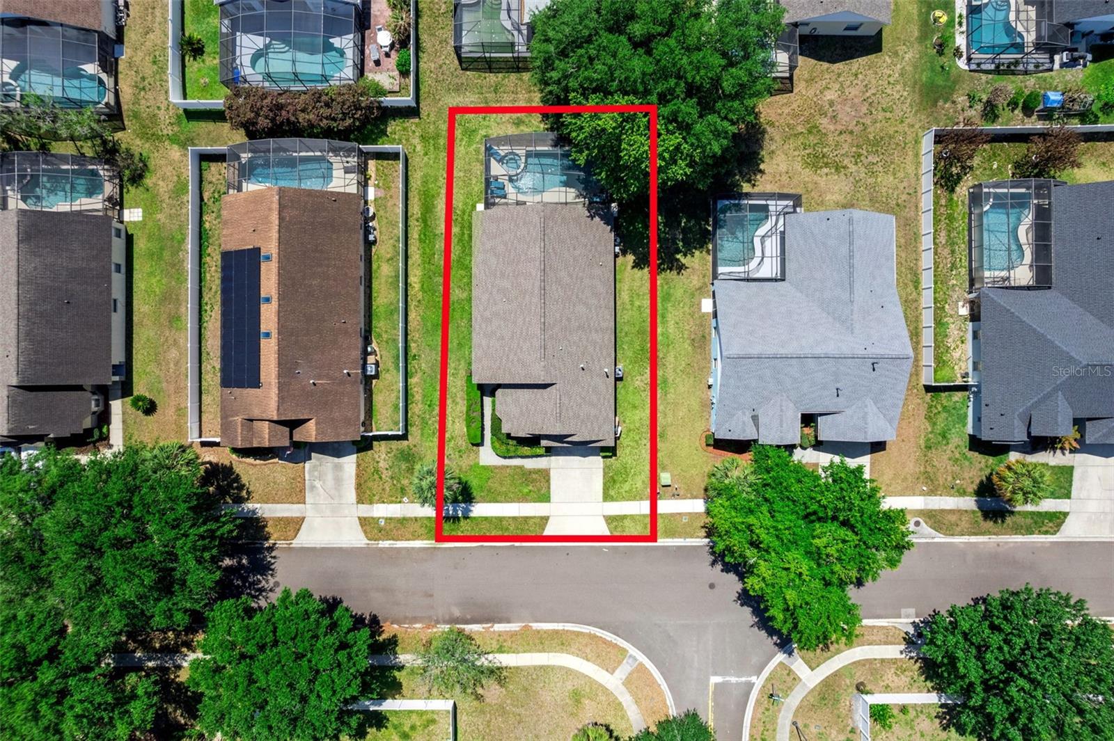 ORANGE TREE - Residential