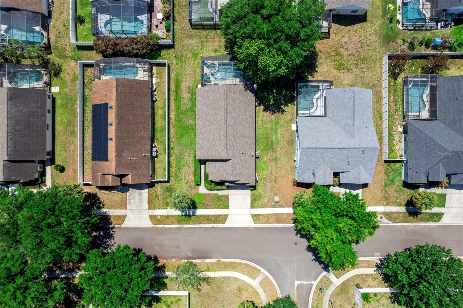 ORANGE TREE - Residential