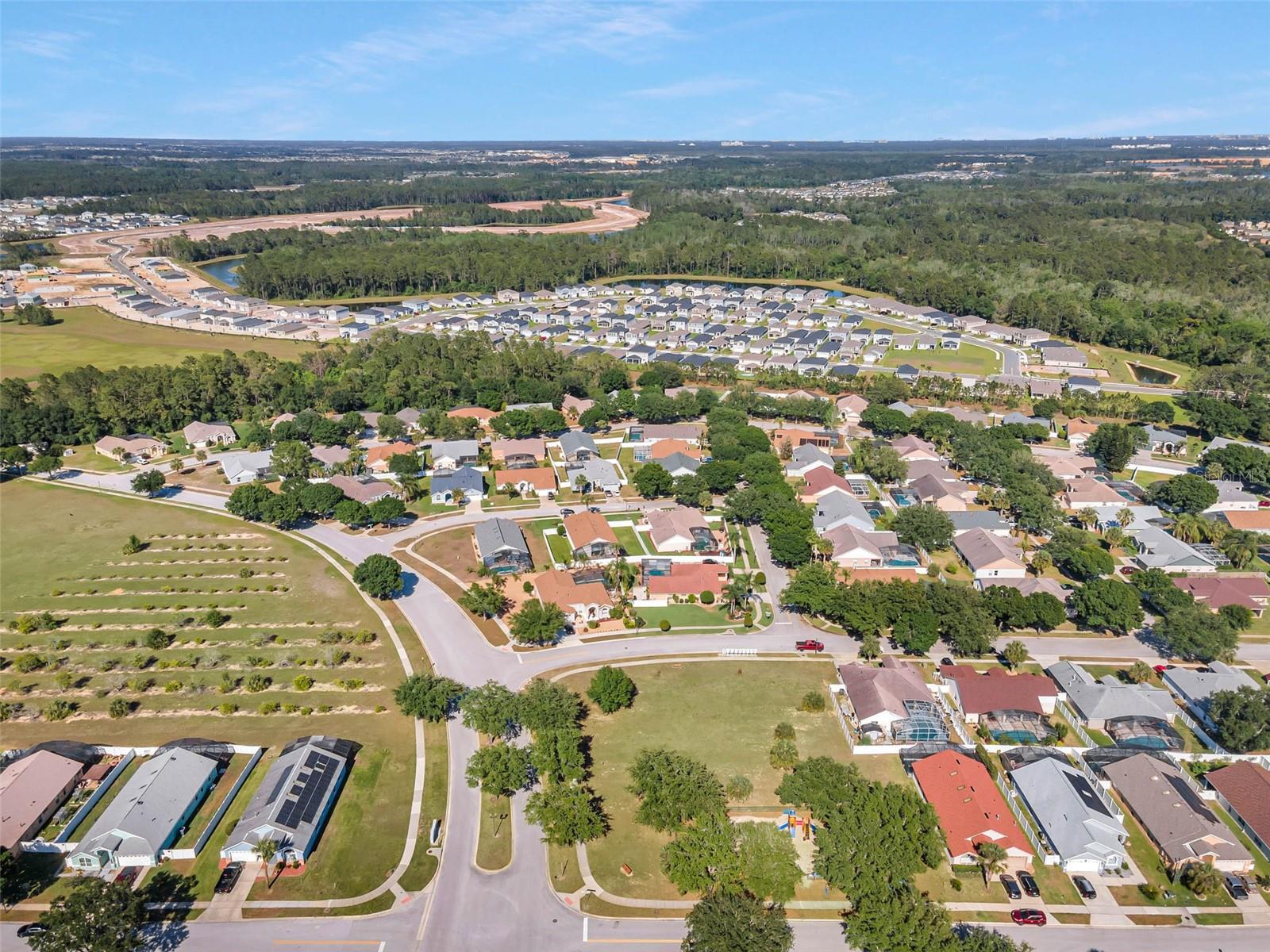 ORANGE TREE - Residential