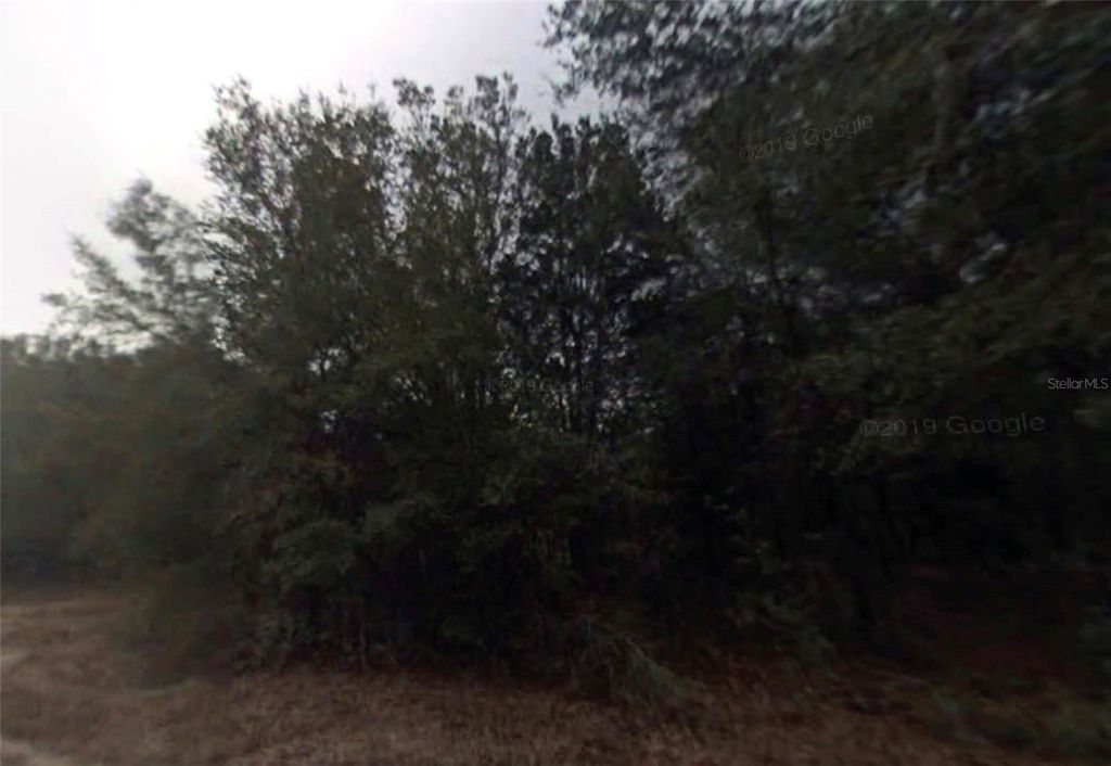 Photo of 614 Longwood Avenue, Inverness, FL 34453 (MLS # O6401385)