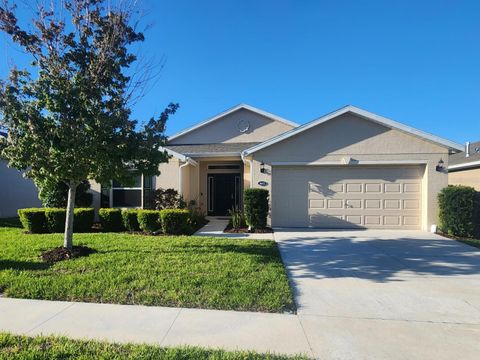 Photo of 4622 Shenandoah River Trail, Leesburg, FL 34748 (MLS # O6379147)