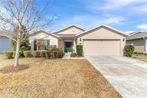 Photo of 4622 Shenandoah River Trail, Leesburg, FL 34748 (MLS # O6379147)