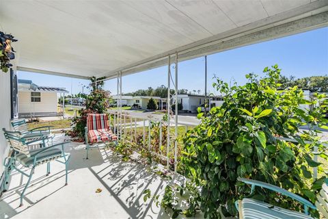 A home in ZEPHYRHILLS