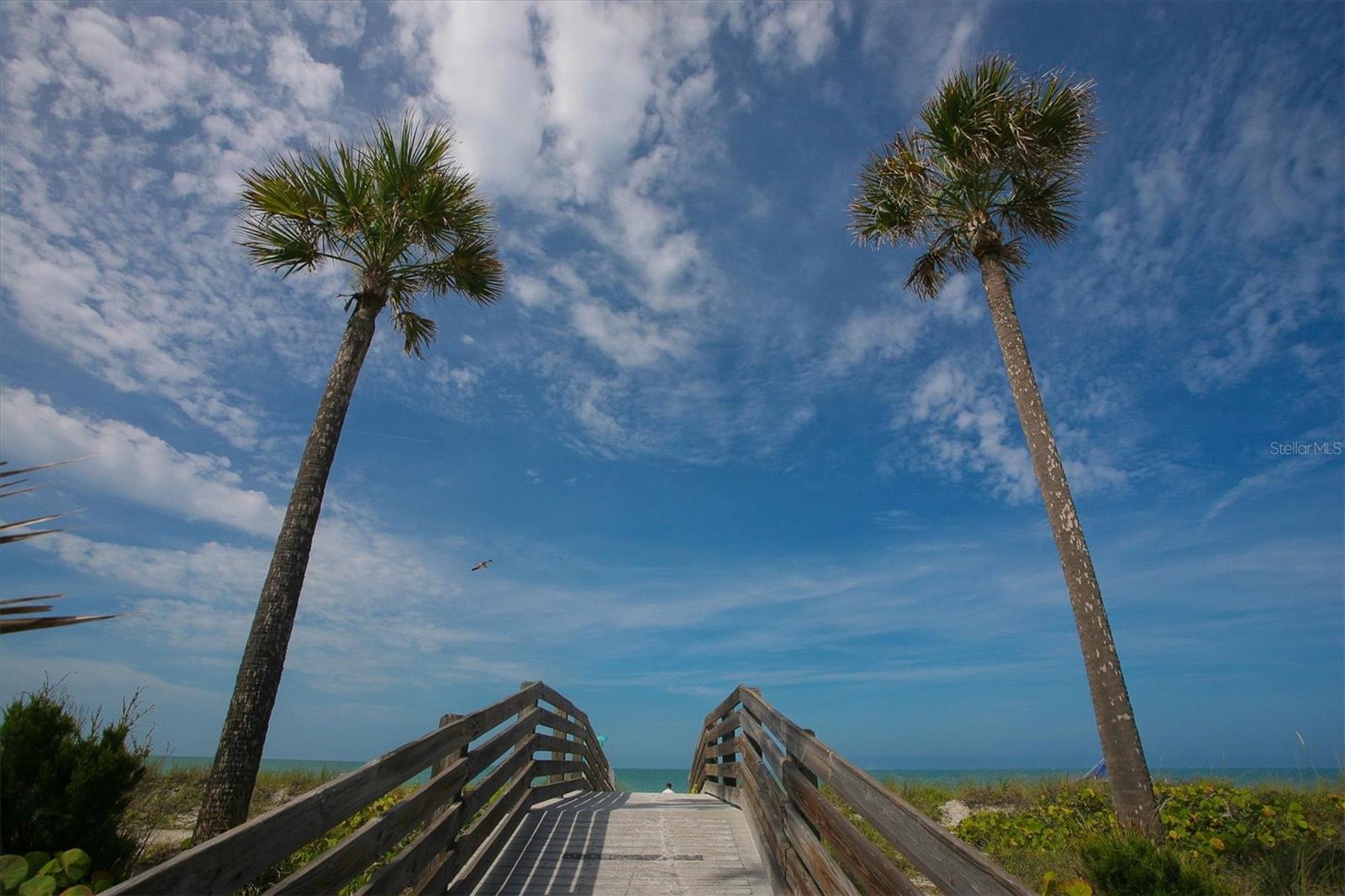 KINGSTON ARMS - Residential