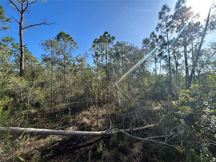 Welcome to your slice of agricultural paradise in the heart of Punta Gorda, Florida. This 2.5 acre parcel of AG land, ideally located in the Charlotte County Ranchettes, presents an exceptional opportunity for those seeking a rural lifestyle within proximity to urban amenities. Situated in a prime agricultural zone, this parcel of land offers endless possibilities for farming ventures, allowing you to cultivate your own crops or raise livestock to your heart's content. The Ranchettes is a 2,400 acre dirt road neighborhood perfect to ride your horses, SXSs or 4 wheelers. Conveniently positioned close to I75 interchanges, accessing major transportation routes for commuting or travel is a breeze, making this location ideal for those who value connectivity and accessibility. Additionally, the proximity to downtown Punta Gorda (a quick 10 minute drive) ensures that you're never far from the historical cultural, great dining options, and charming shops that the area has to offer. For added convenience, grocery stores are just a stone's throw away (5 - 10 min), allowing you to easily stock up on essentials without the hassle of long drives. Don't miss out on the chance to own a piece of agricultural bliss in Punta Gorda, where rural charm meets modern convenience. Seize this opportunity to create the lifestyle you've always dreamed of in one of Florida's most coveted locations. Act now and make this vacant land yours today!