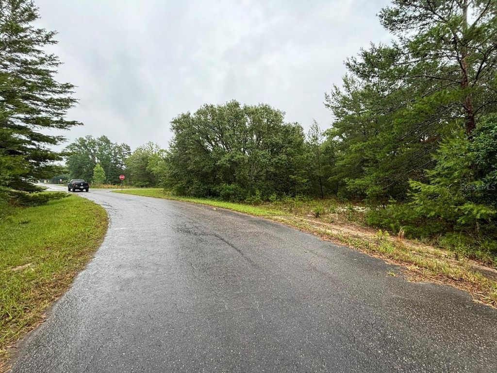 Photo of 16 Fisher Court Way, Ocklawaha, FL 32179 (MLS # O6397613)