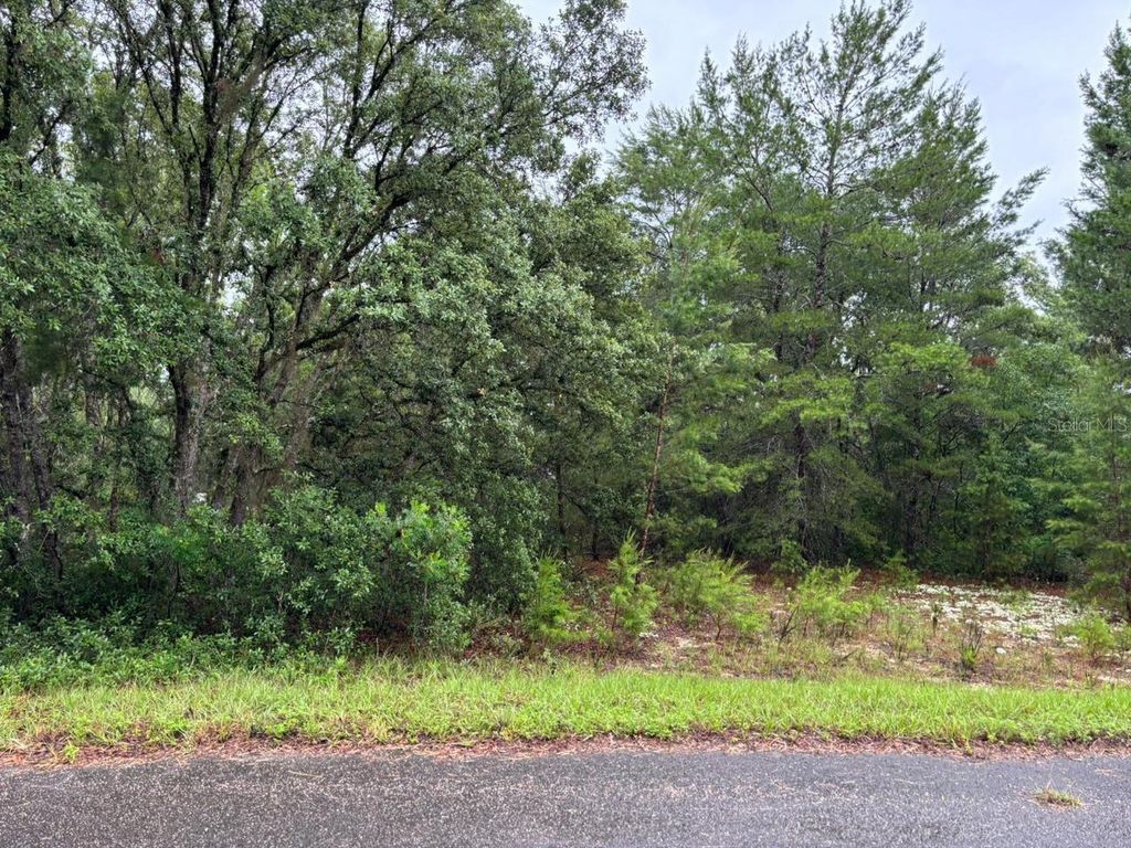 Photo of 16 Fisher Court Way, Ocklawaha, FL 32179 (MLS # O6397613)