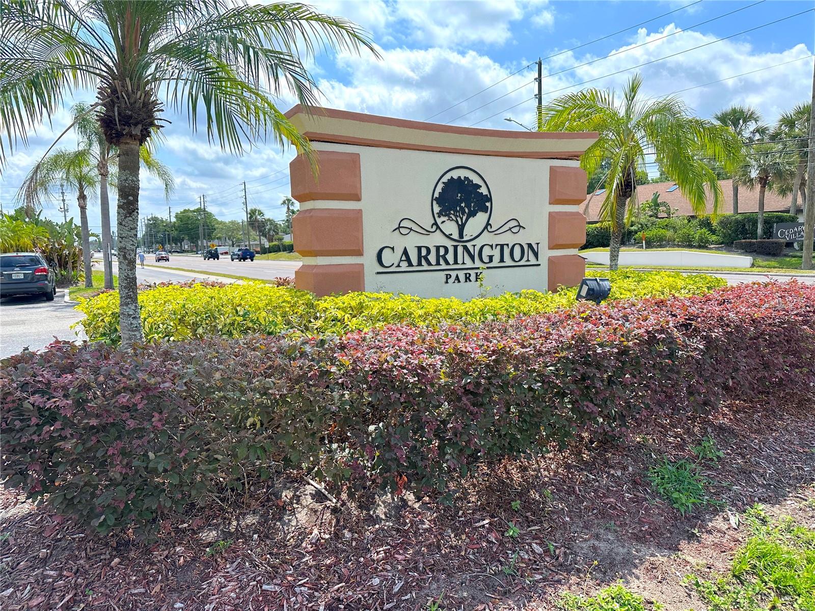 CARRINGTON PARK A CONDO - Residential