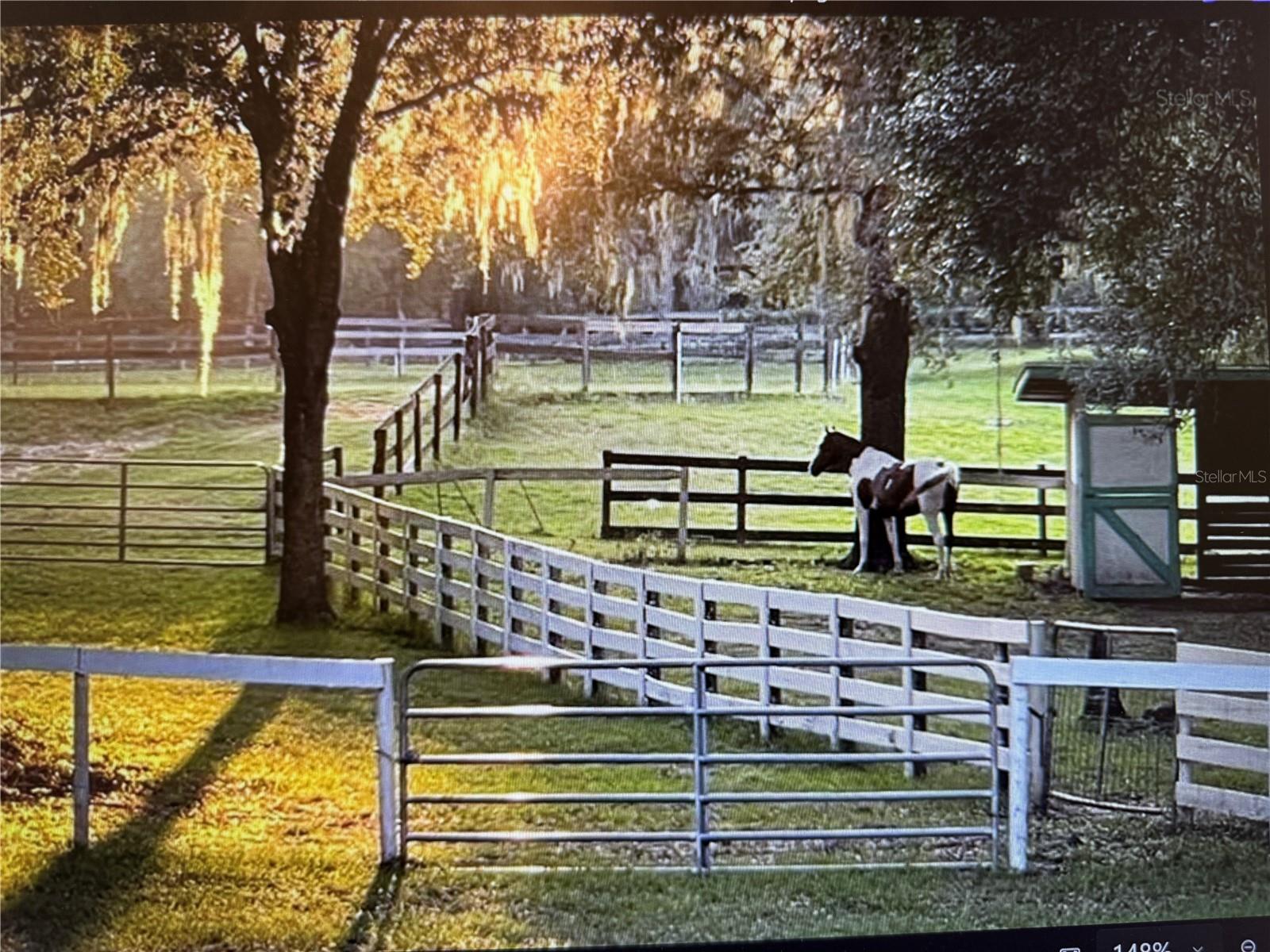Tucked away just north of Tampa lies the quaint little town of Dade City. With its mature oak trees, citrus orchards, and rolling horse farms, it is truly one of Florida’s best-kept secrets. Think of a Hallmark movie setting—with blooming kumquat trees, the famous Annual Kumquat Festival, antique car shows, and stretches of farmland. This rare town remains unspoiled, with minimal traffic and endless natural beauty. Now imagine building your dream home here. This stunning 5+ acre property offers incredible panoramic views, mostly cleared while still graced with shady oak trees. The north side neighboring lot remains wooded for a serene natural backdrop. For your convenience and security, the property is fully gated, fenced, and cross-fenced. Equestrians will delight in the fully irrigated, dressage-sized riding arena and the two-stall barn shelter with water and electricity. Bring your family, pets, and horses; this property welcomes them all. One deed restriction applies: the seller’s deed reflects that any home must be built on the front three acres of the five-acre parcel. The Trilby Trails community, when it was first built, required a minimum of five-acre lots, ensuring lasting privacy and eliminating the possibility of large-scale developments being built behind you. Nestled in the desirable Trilby Trails equestrian community, you’ll be surrounded by like-minded neighbors who share the same lifestyle. Once part of an HOA, the community is now free from restrictions, giving you flexibility. Taxes are remarkably affordable at just $229 yearly. Enjoy miles of horseback riding trails within the neighborhood or venture just a few blocks away to the Withlacoochee Trail for biking, hiking, and riding. Despite its peaceful country setting, this location offers quick access to major highways—head north to Ocala, south to Tampa, or east to Orlando. The Gulf Coast beaches, fabulous Tampa Sports Teams, and superb shopping are easily attainable utilizing the main arteries of I-75 or I-4. And when you want a change of pace, enjoy the charm of historic downtown Dade City, with its family-owned restaurants and diners, boutique shops, and friendly atmosphere. ?? Please call today for your private showing of this one-of-a-kind property. Be prepared to fall in love and make this your new home location. As a professional courtesy, the seller will take you on a guided 4-wheeler tour to showcase all the extras that must be seen in person.