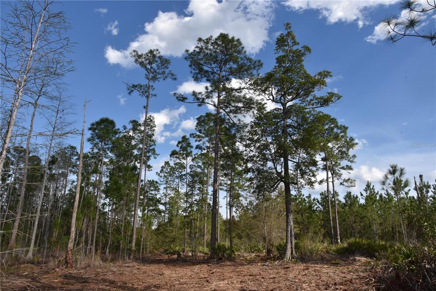 This tract is set up in the middle of thousands of acres of timberland. It would make a great camping or hunting tract with the abundance of deer and turkey surrounding it. This property is located outside of Palatka in the middle of the Rayonier timber tracts. It is off the beaten path and extremely peaceful. This would allow you to have a small parcel of land and have the opportunity to have wildlife come in from the surrounding parcels. Please call if you have any questions or want to schedule a showing.