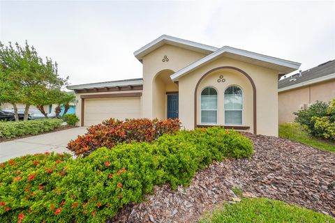 A home in APOLLO BEACH