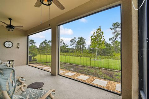 A home in WESLEY CHAPEL