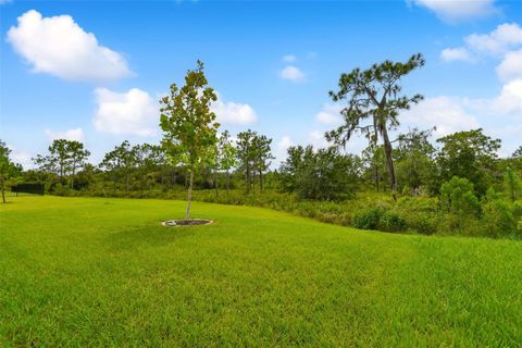 A home in WESLEY CHAPEL