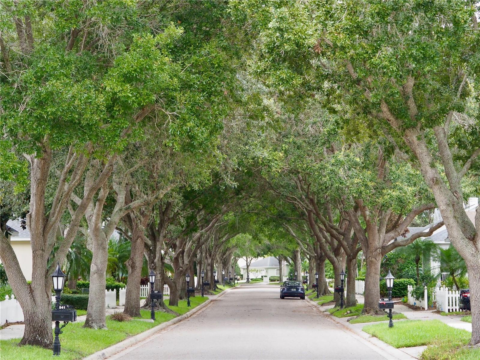 RIVENDELL - Residential