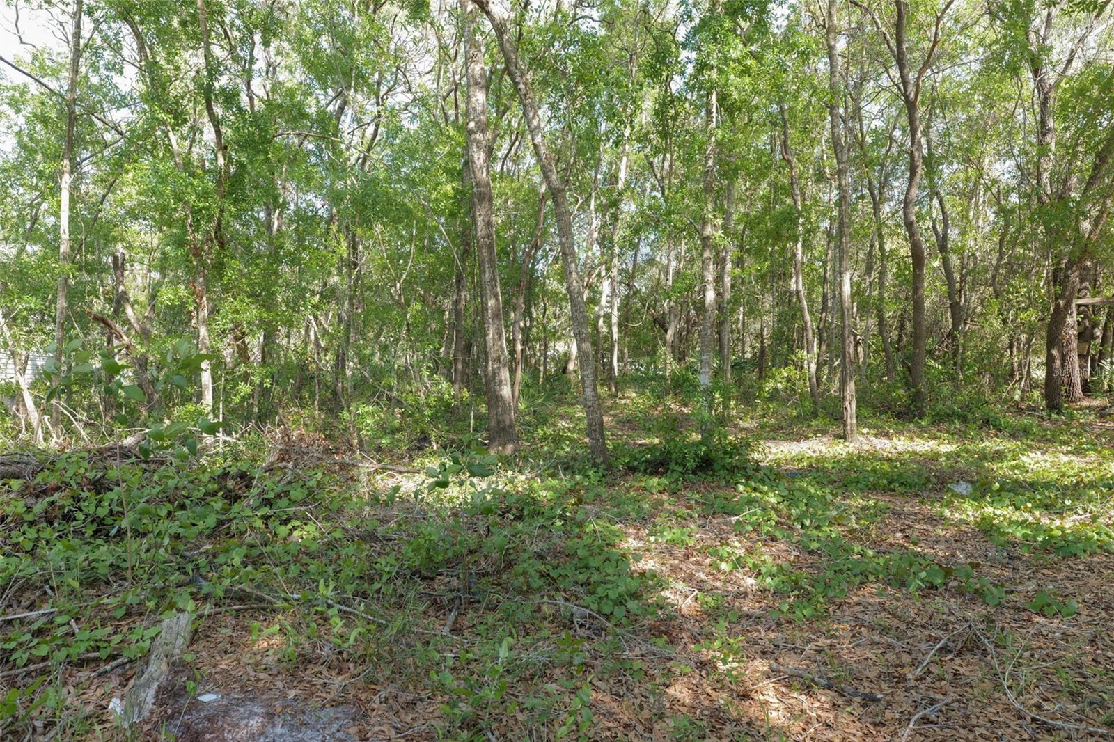 HIGHLAND LAKES - Land