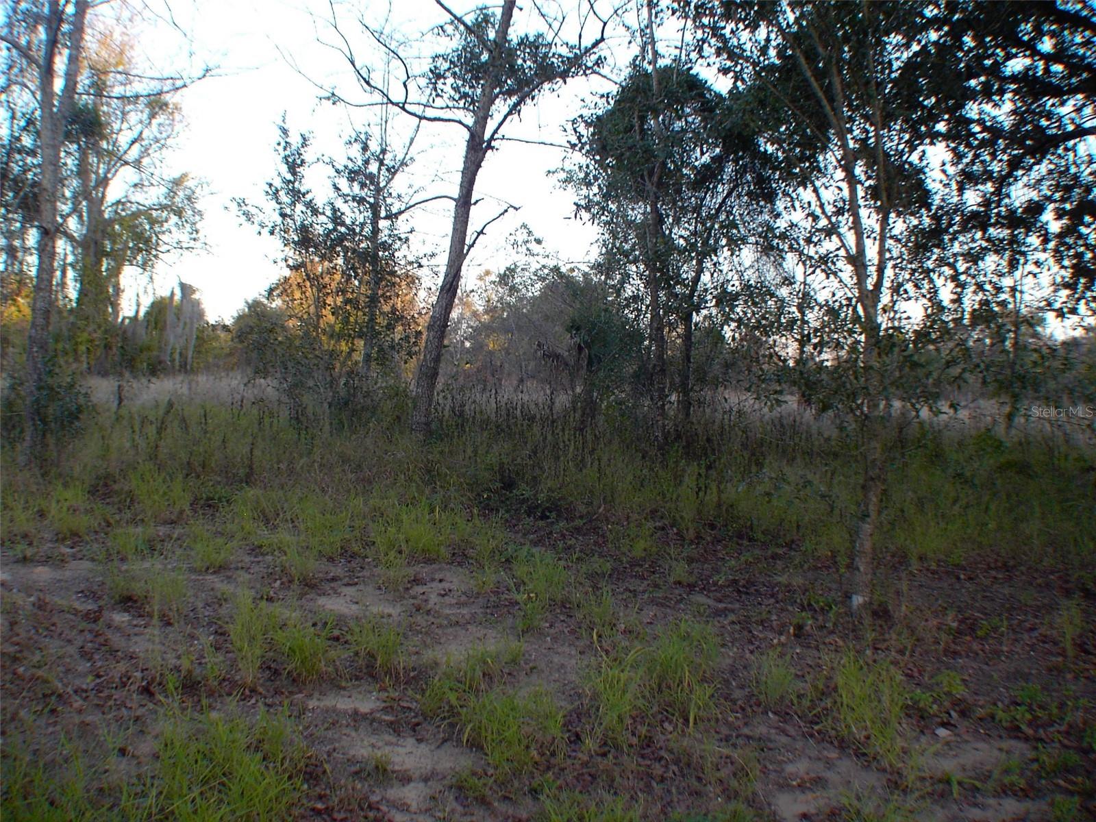 CARLTON VILLAGE PARK - Land