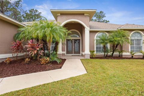 A home in PALM COAST