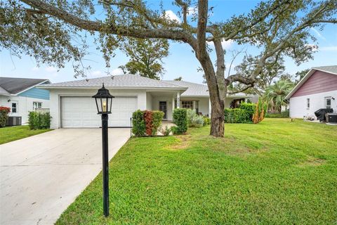 Photo of 6404 Lost Tree Lane, Spring Hill, FL 34606 (MLS # W7880575)