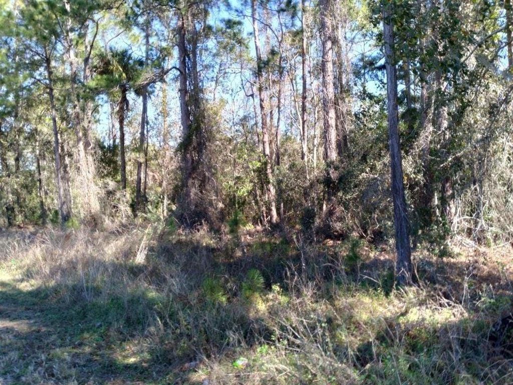Photo of Poyner Road, Polk City, FL 33868 (MLS # S5148097)