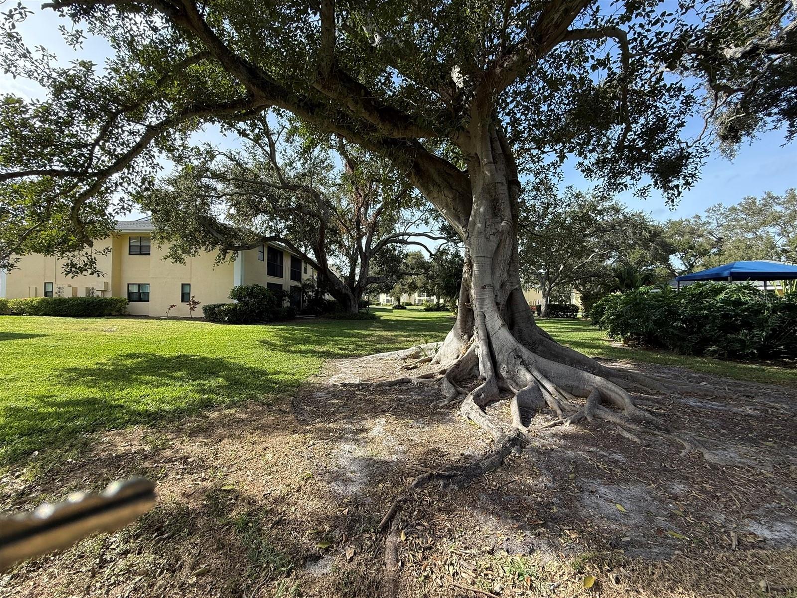 ARBOR HGTS CONDO - Residential