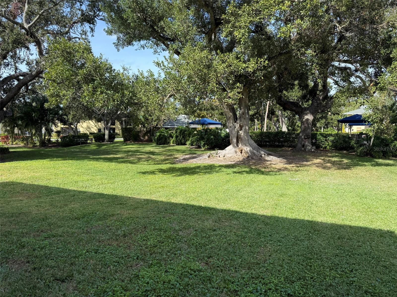 ARBOR HGTS CONDO - Residential