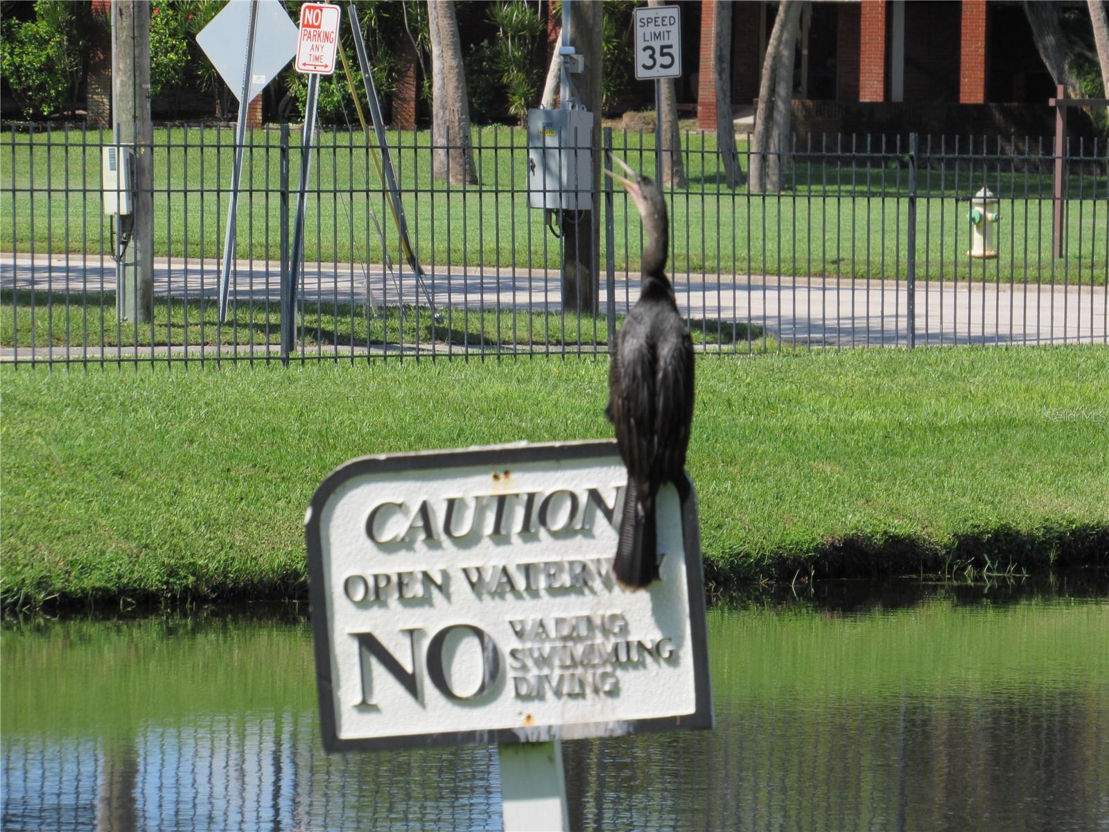 ARBOR HGTS CONDO - Residential