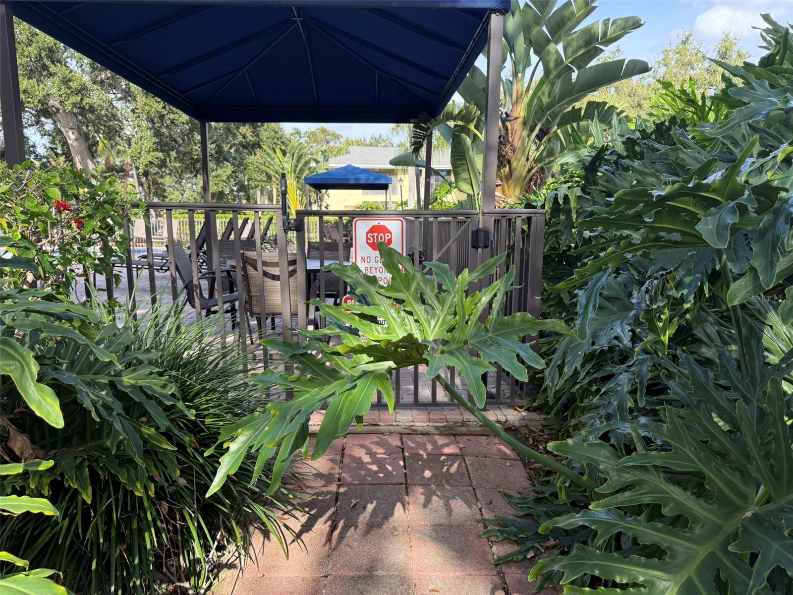 ARBOR HGTS CONDO - Residential