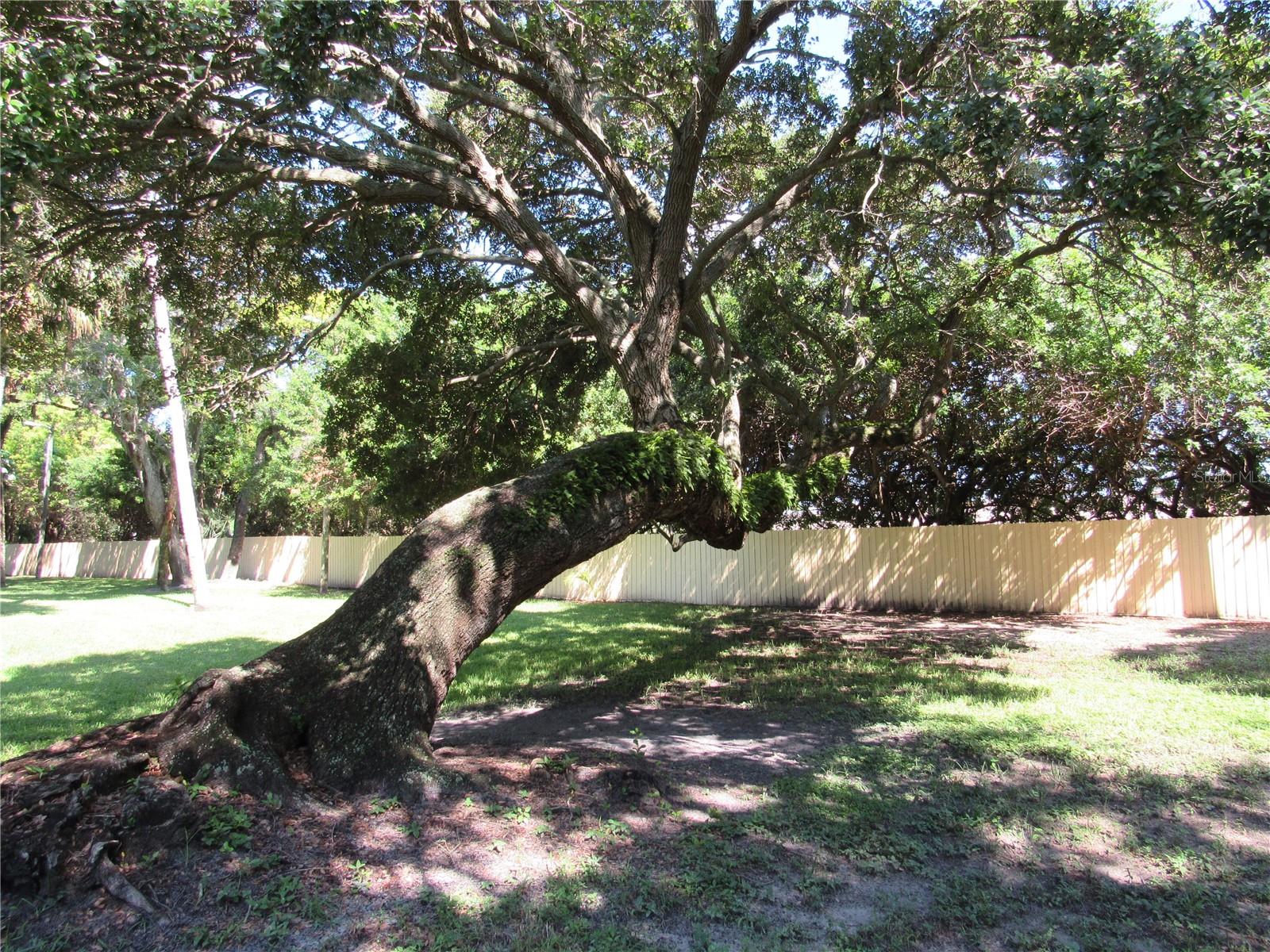 ARBOR HGTS CONDO - Residential