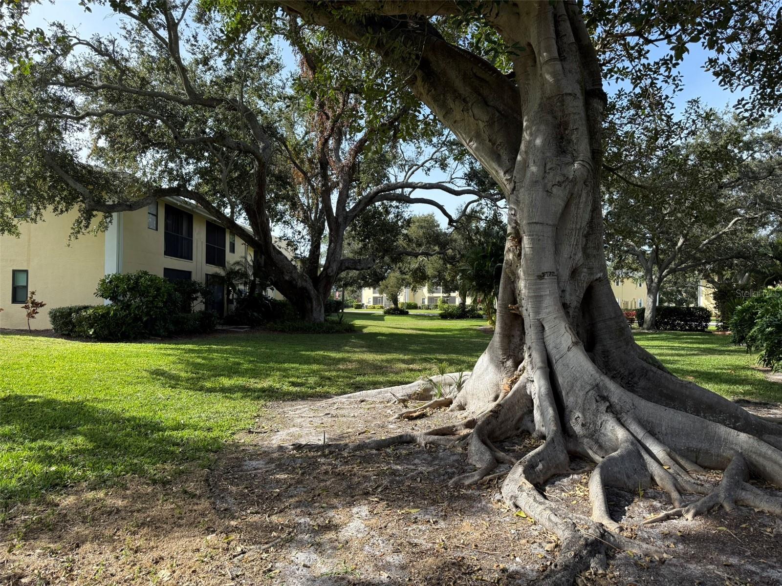 ARBOR HGTS CONDO - Residential