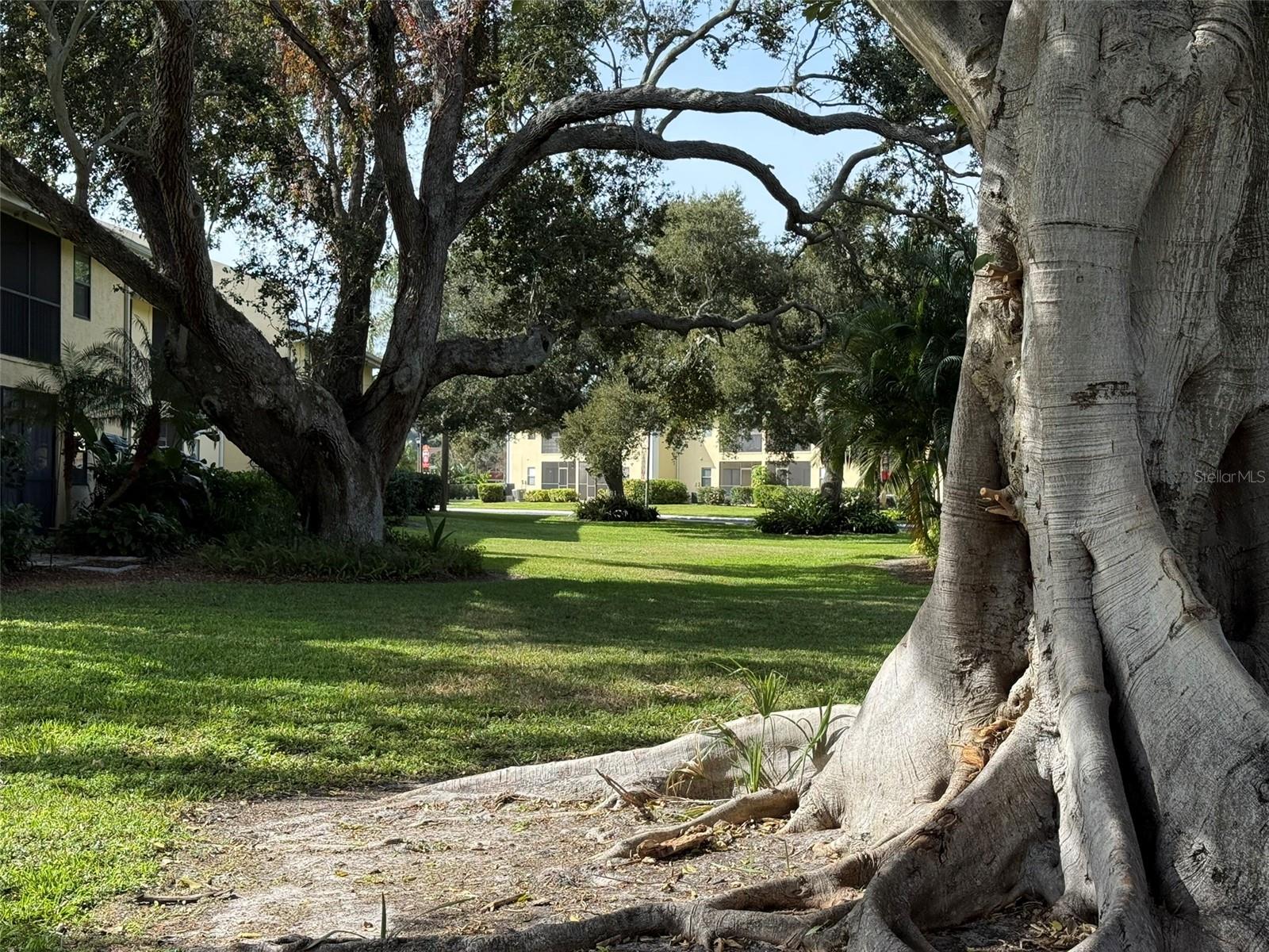 ARBOR HGTS CONDO - Residential