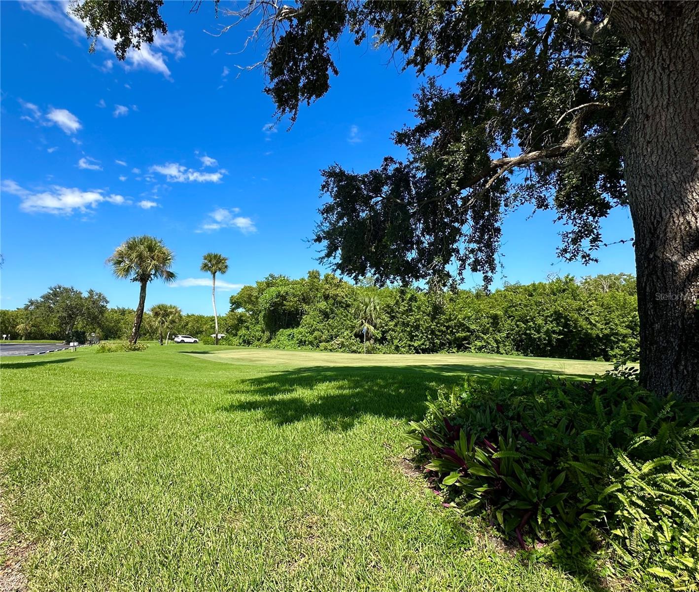 PELICAN POINTE OF SEBASTIAN V - Residential