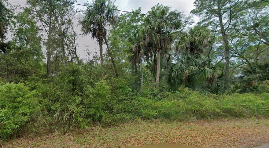 Build your future in beautiful Crystal River with this rare opportunity to own just over 1 acre of vacant land featuring two parcels sold together. Whether you’re planning your dream home, a private retreat, or a smart investment, this property offers endless potential in one of Florida’s most sought-after Nature Coast communities.

Enjoy being just minutes from Three Sisters Springs, Crystal River Preserve State Park, and Hunter Springs Park, where you can experience crystal-clear springs, kayaking, fishing, hiking, and unforgettable wildlife encounters. You’ll also love the nearby seafood restaurants, local shops, and small-town coastal charm.

With over an acre of space and pricing below market value, this property is an incredible opportunity to build now or hold as an appreciating investment. Land of this size and value in Crystal River doesn’t last long.

*Buyer is responsible for verifying all property details, including parcel boundaries, legal description, zoning, and intended use. Buyers are encouraged to obtain a survey during the inspection period to confirm property location and boundaries prior to closing.*