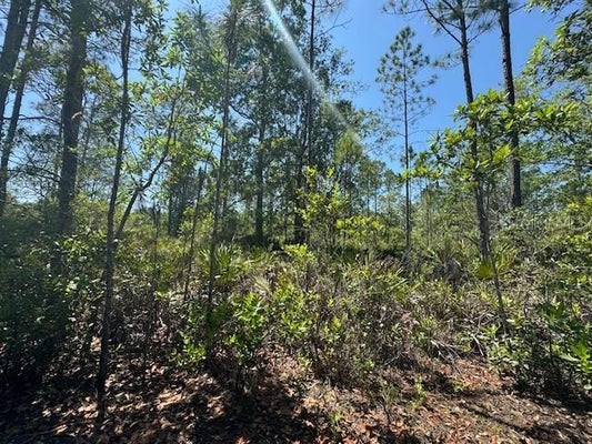 NINEMILE POINT RD, PIERSON, FL 32180 - Image eddf08288fc28e19e2ba1ee9cede551b/244696846