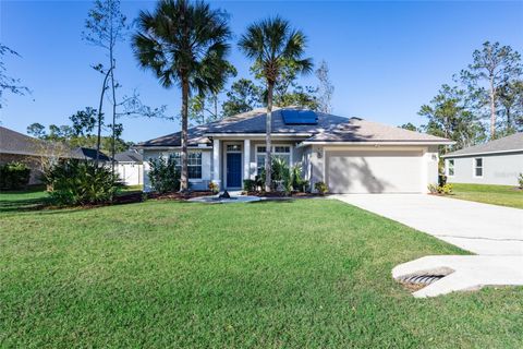 A home in PALM COAST