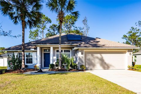 A home in PALM COAST