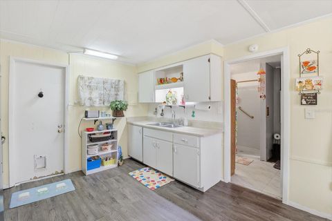 Tiny photo for 6771 W Sasser Street, Homosassa, FL 34446 (MLS # TB8482017)