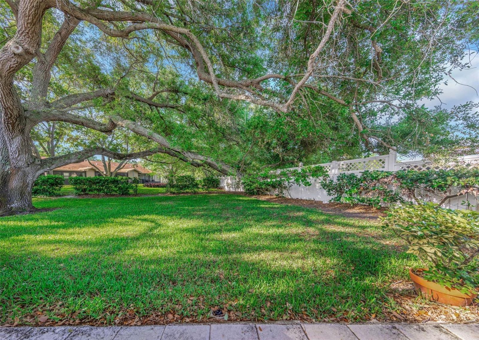 SCOTSDALE VILLA CONDO - Residential