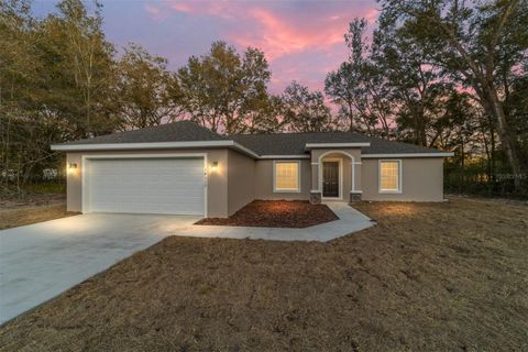Photo of 14317 SE 27th Court, Summerfield, FL 34491 (MLS # OM718739)