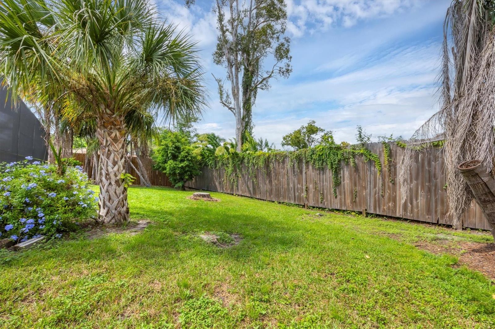 JACKSON HIGHLANDS - Residential