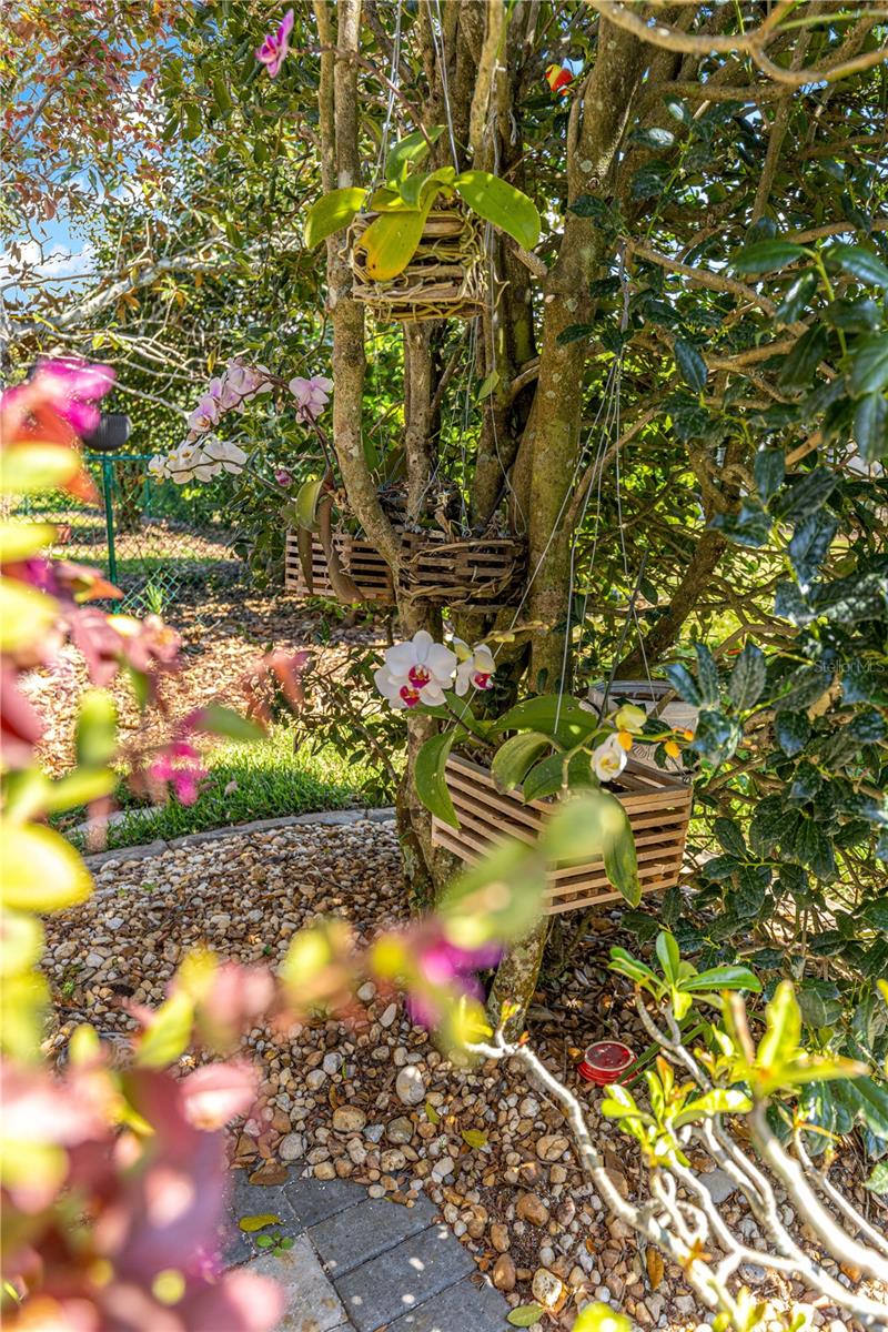 INDIGO EAST PH 01 UN A-A & B-B - Residential