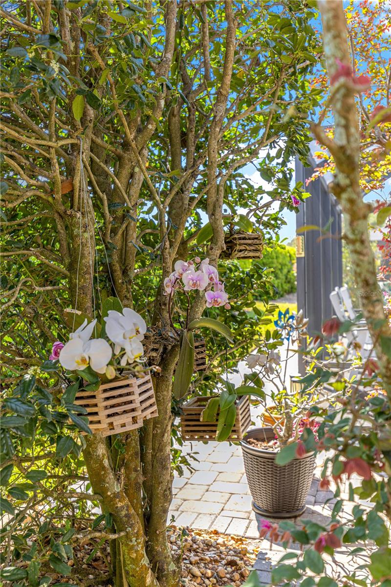 INDIGO EAST PH 01 UN A-A & B-B - Residential