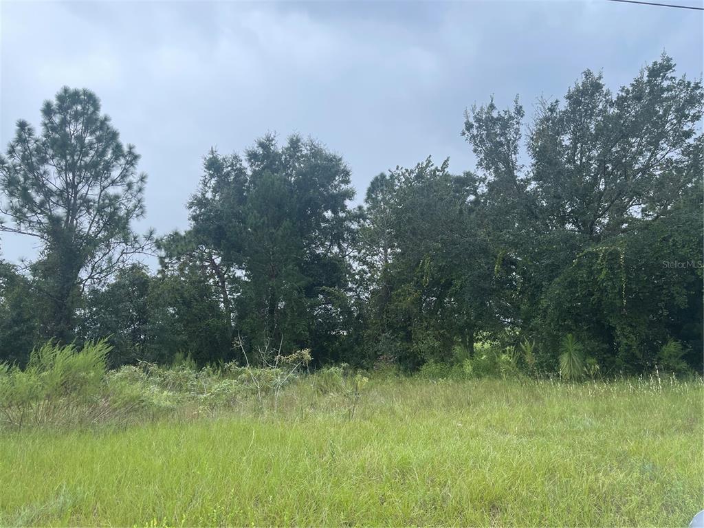 MARION OAKS UN TEN - Land