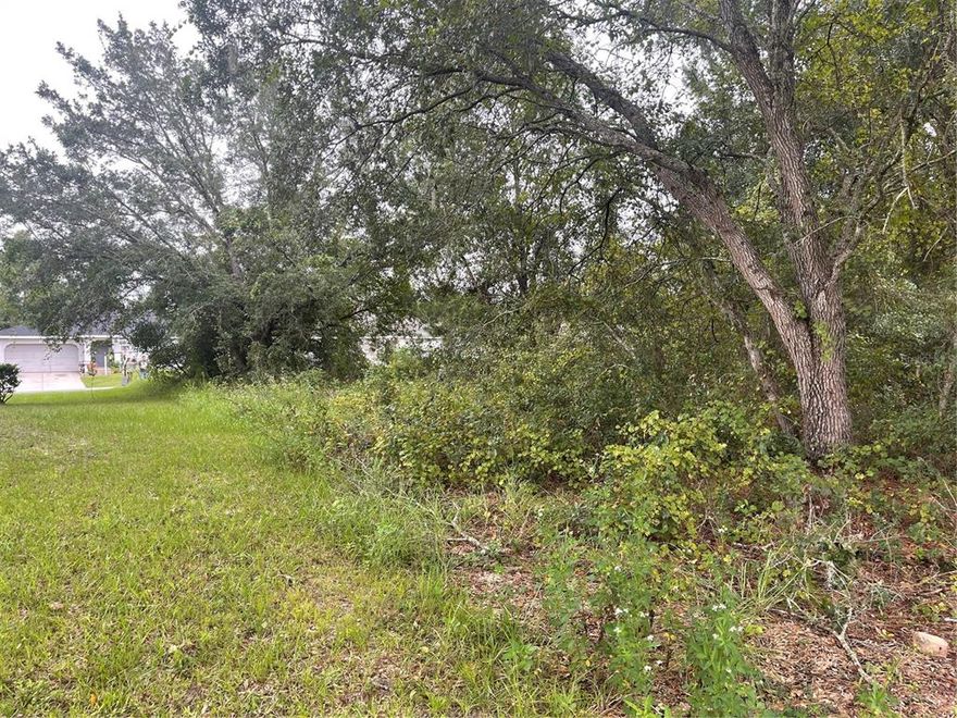 Rare .24 acre lot to build your custom dream home. Highly sought after Marion Oaks unit 10 area with no HOA fees. Enjoy the quick and easy access to Highway 484 and I-75. Close to schools, restaurants, malls, and hospitals. This lot backs up to Mc Ginley airport, giving you a huge backyard feel.  Parcel ID: 8010-1012-07.

Investors: This lot could be sold as a package deal with parcel ID: 8010-0999-12.