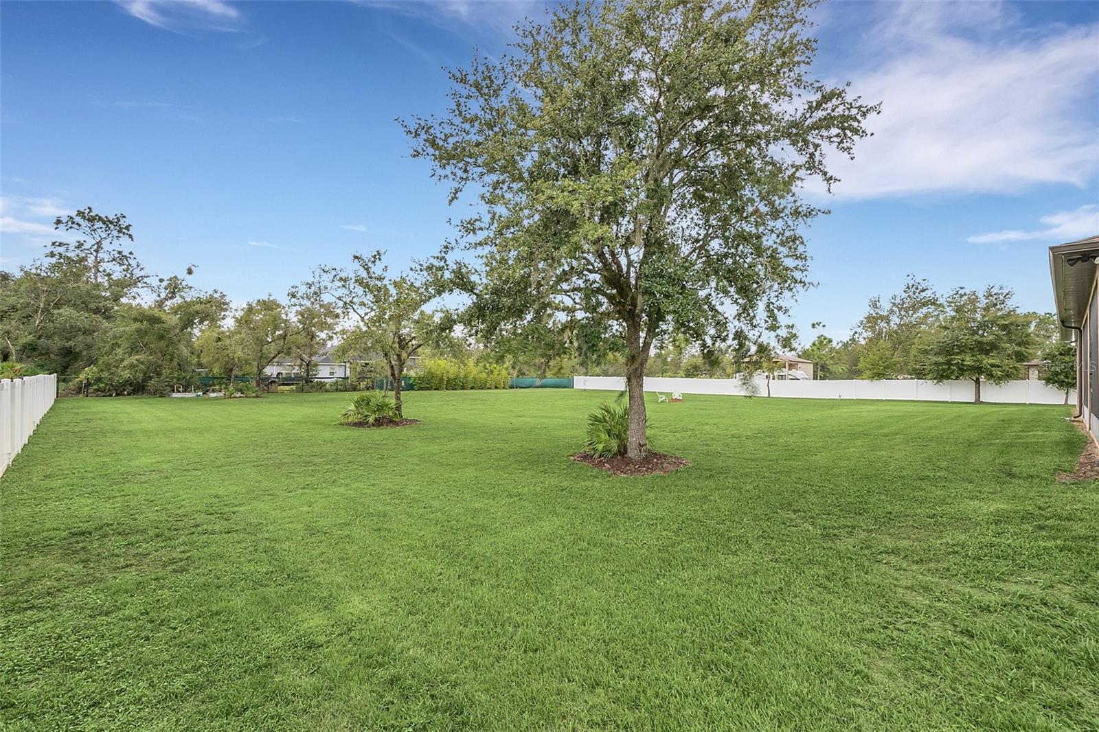 CAPE ORLANDO ESTATES - Residential