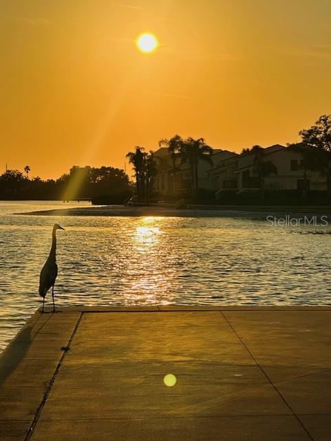 BAYWAY ISLES POINT BRITTANY FOUR - Residential Lease