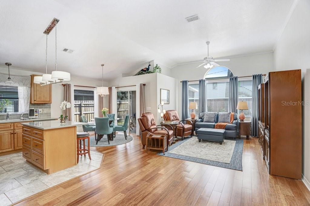 VILLAGES AT WESLEY CHAPEL - Residential