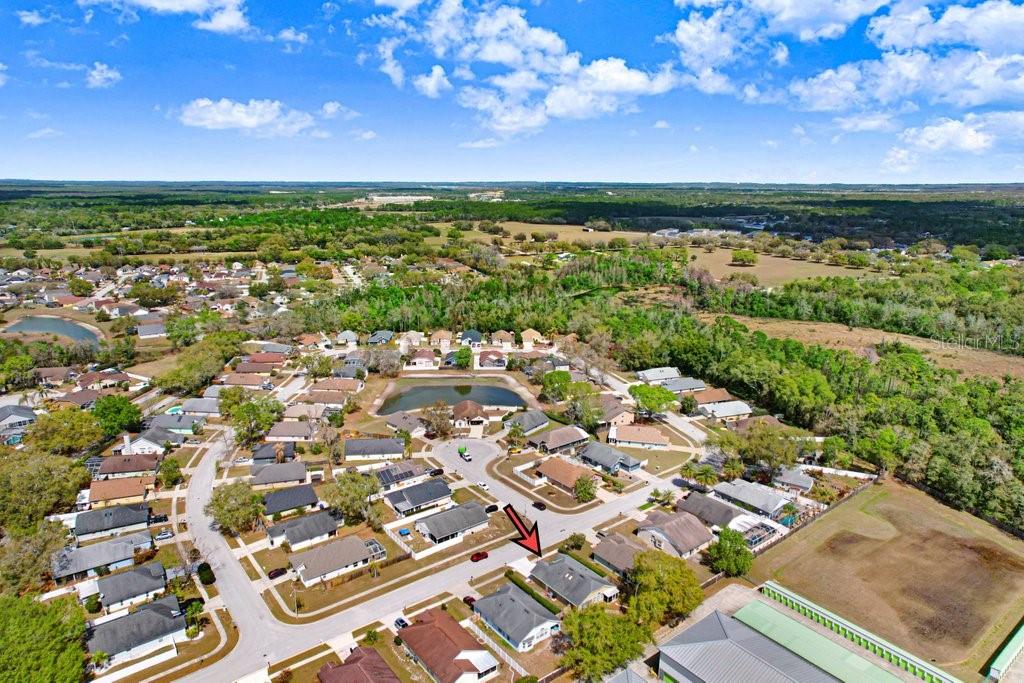 VILLAGES AT WESLEY CHAPEL - Residential