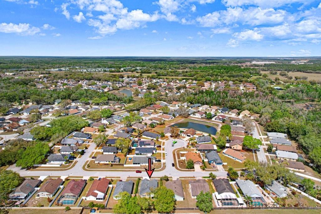 VILLAGES AT WESLEY CHAPEL - Residential