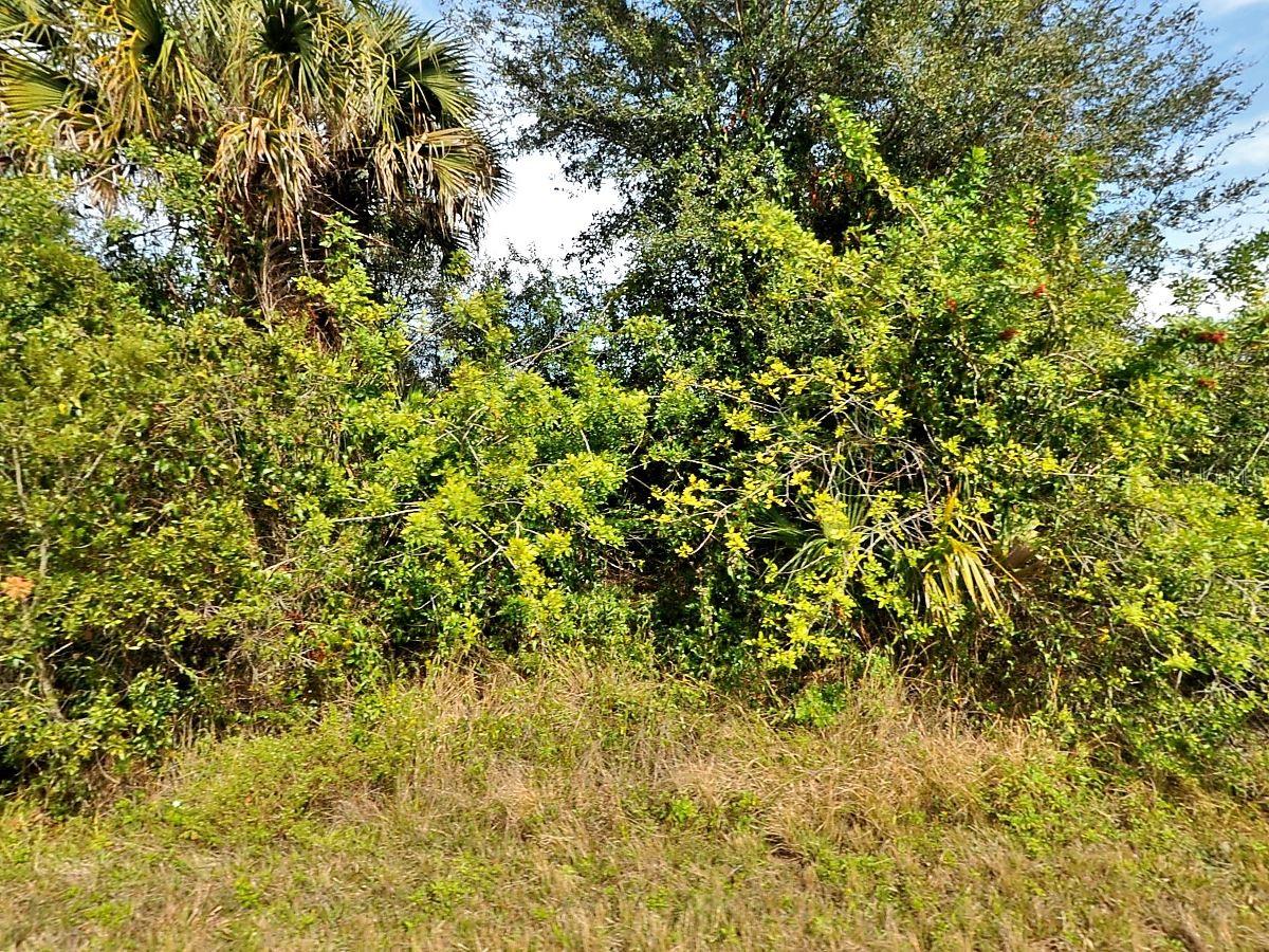 If you have been looking to build in an area that still offers you privacy and quiet surroundings, you will want to take a look at this lot.  Flood insurance NOT required and there are NO HOA's or CDD's. You are centrally located to both Port Charlotte and North Port. Enjoy convenient shopping, restaurants, golfing and local beaches.  Go take a look and start making those dreams of a new construction your reality!