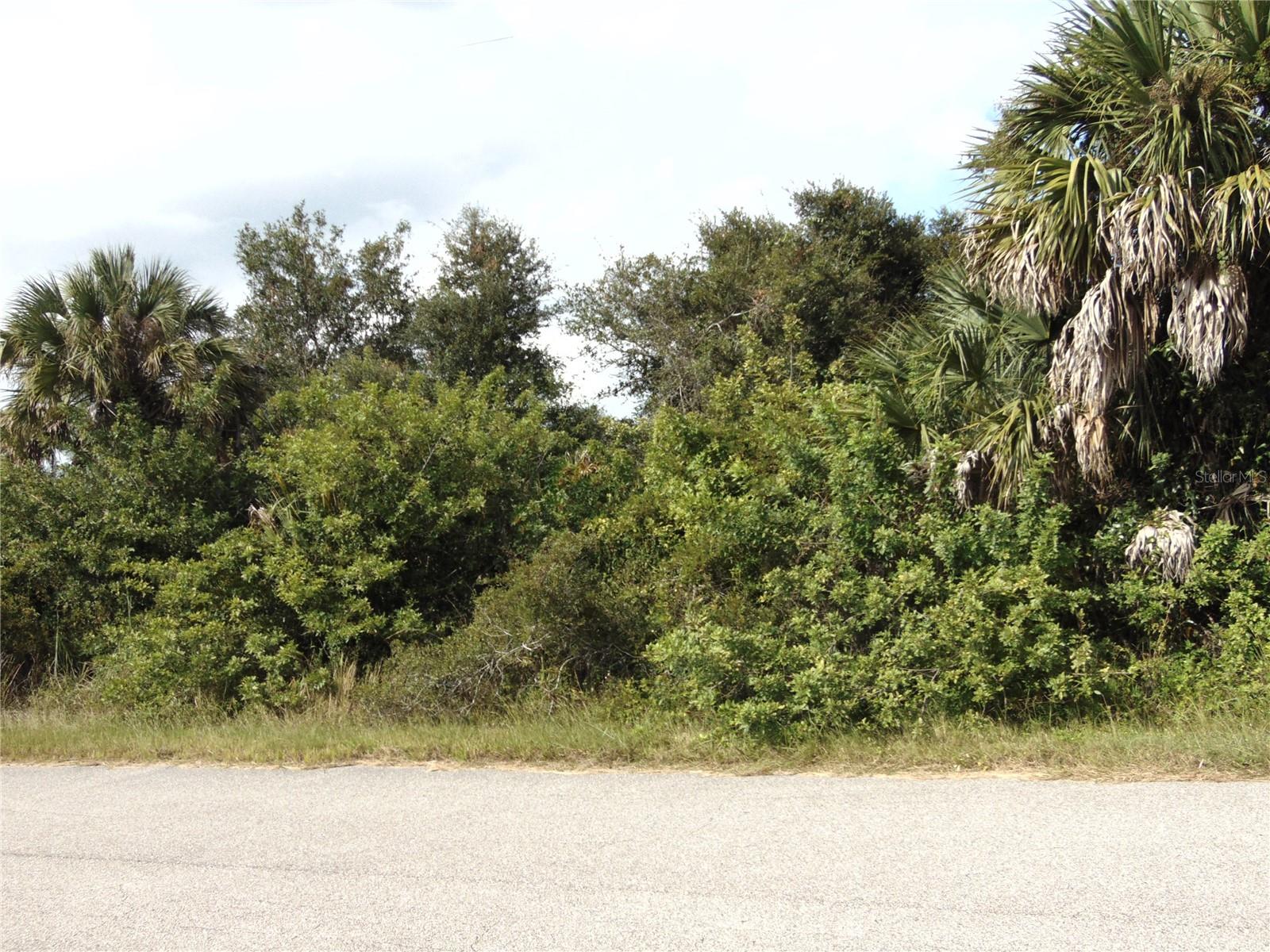 PORT CHARLOTTE SUB 45 - Land